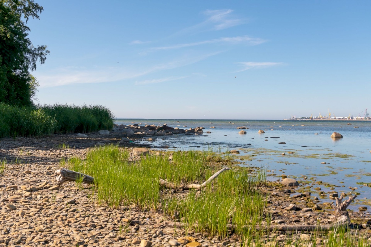 Tallinn, Haabersti linnaosa, Vabaõhumuuseumi tee 5/1