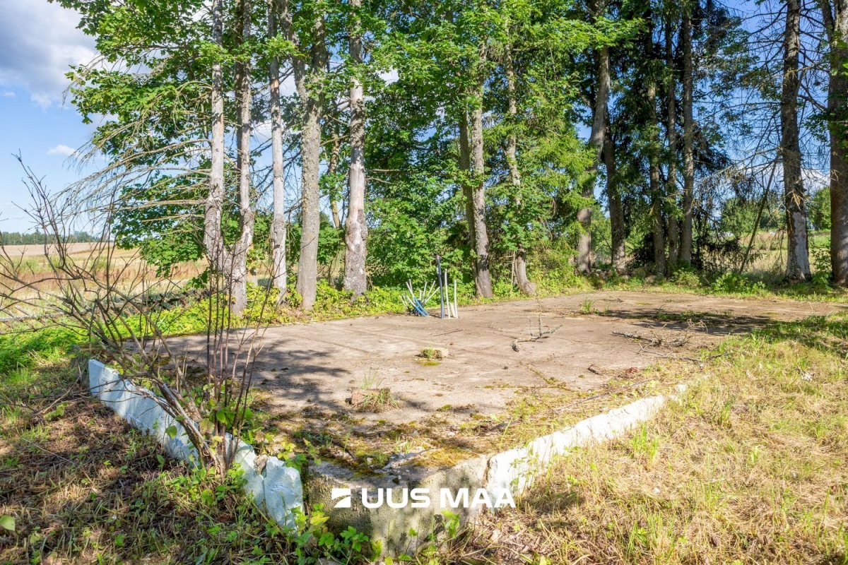 Põlva vald, Suurküla, Tatti-Jaani
