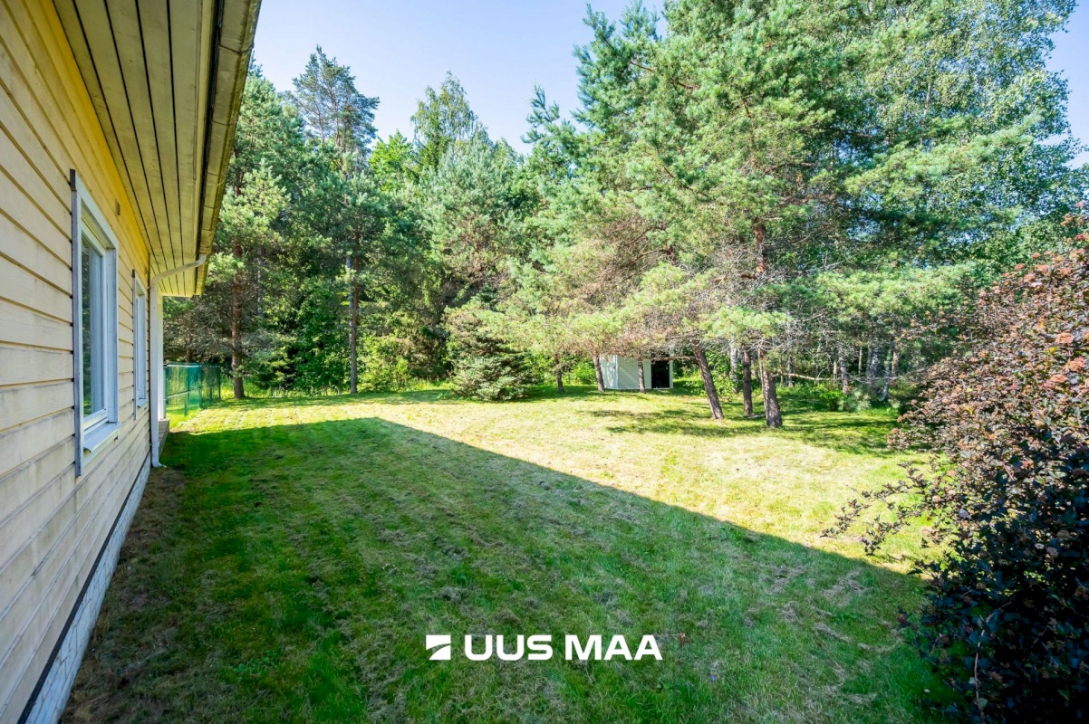 Harku vald, Sõrve küla, Sõrve 35