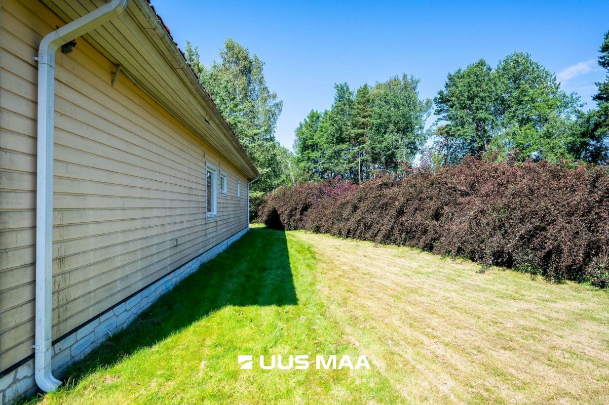 Harku vald, Sõrve küla, Sõrve 35