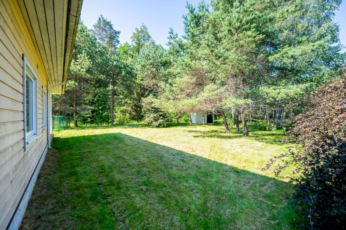 Harku vald, Sõrve küla, Sõrve 35