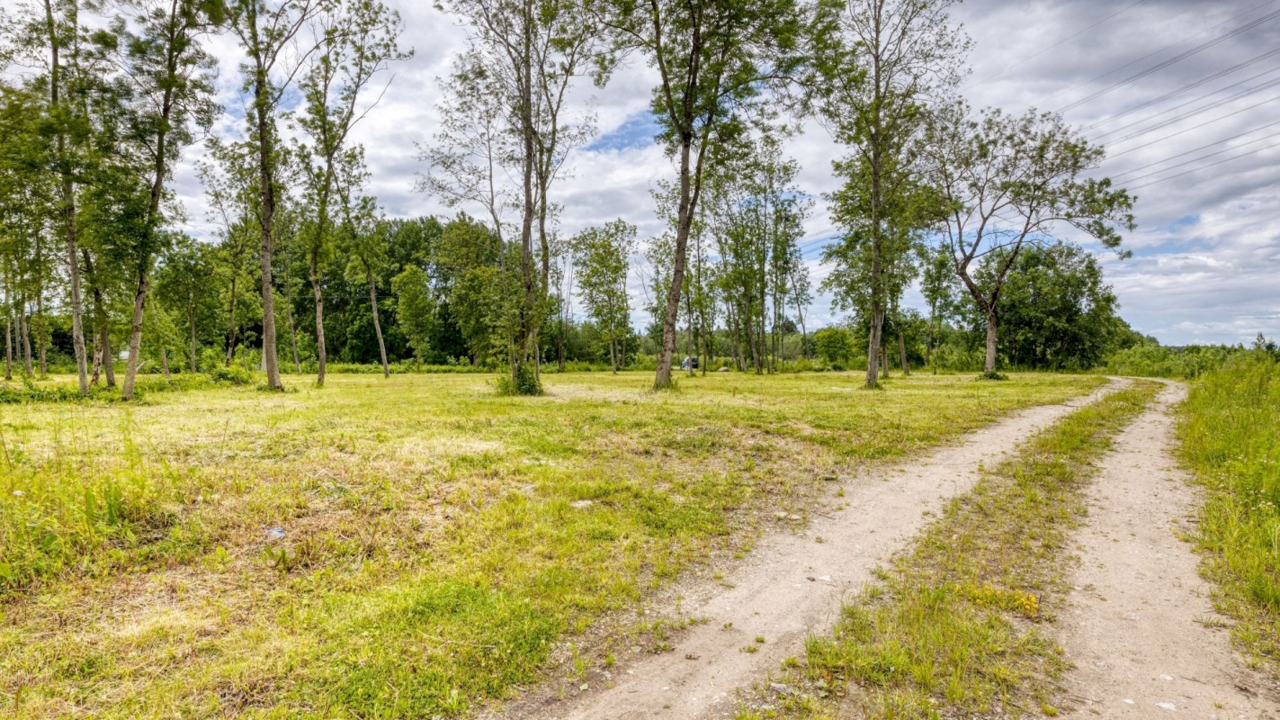 Saue vald, Püha küla, Kurvi tee 53