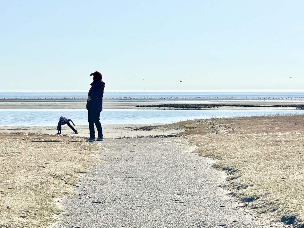 Pärnu linn, Pärnu linn, Mai, Mai 67