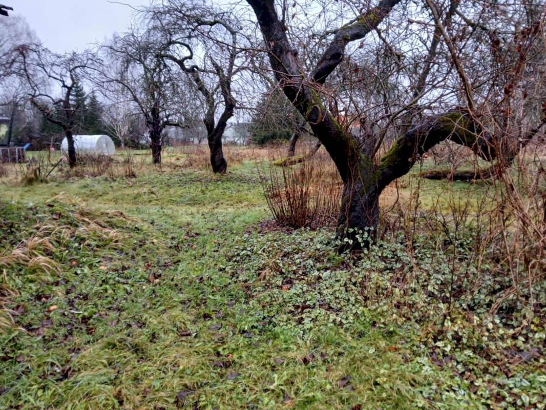 Tori vald, Sindi linn, Karja 18