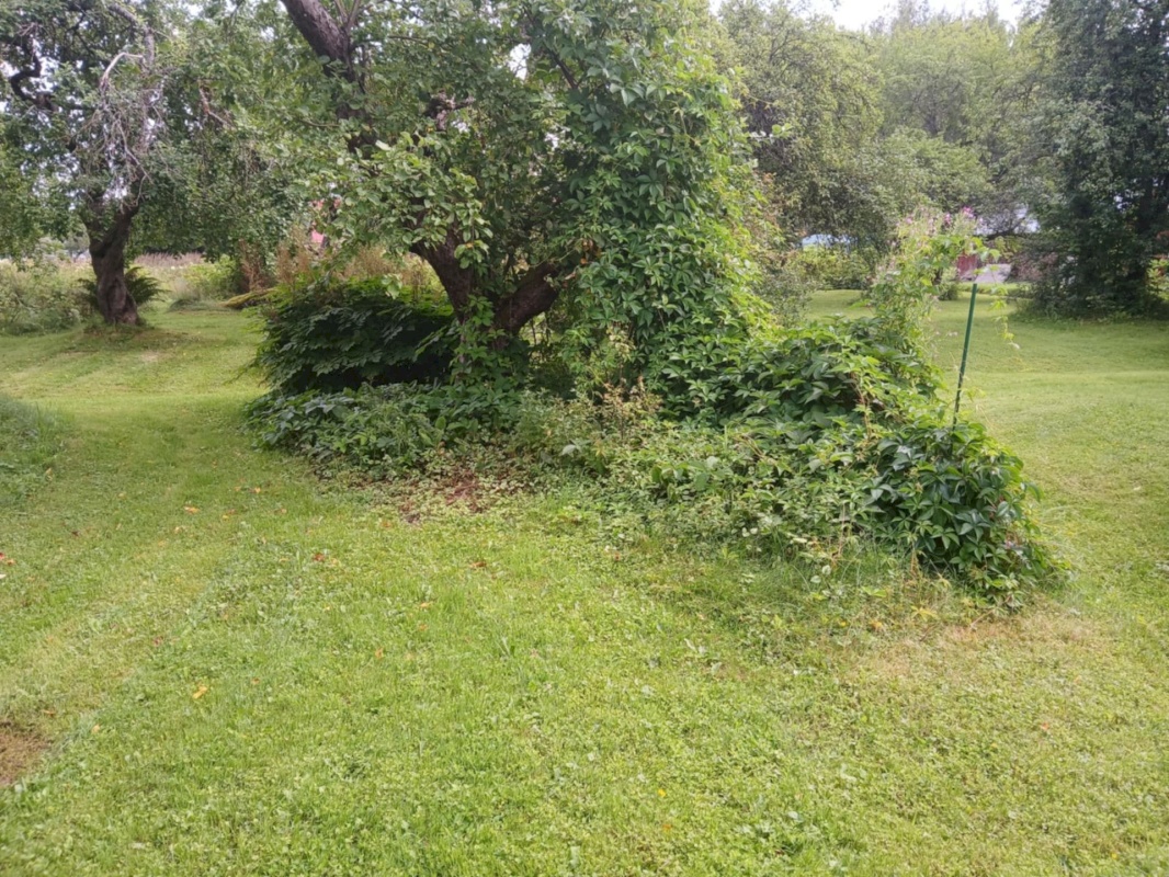 Tori vald, Sindi linn, Karja 18