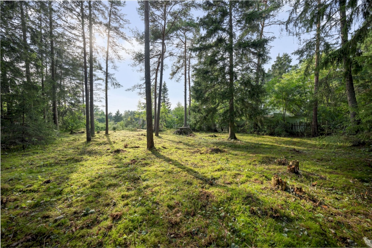 Lääne-Harju vald, Tuulna küla, Metsapiiga vkt 33