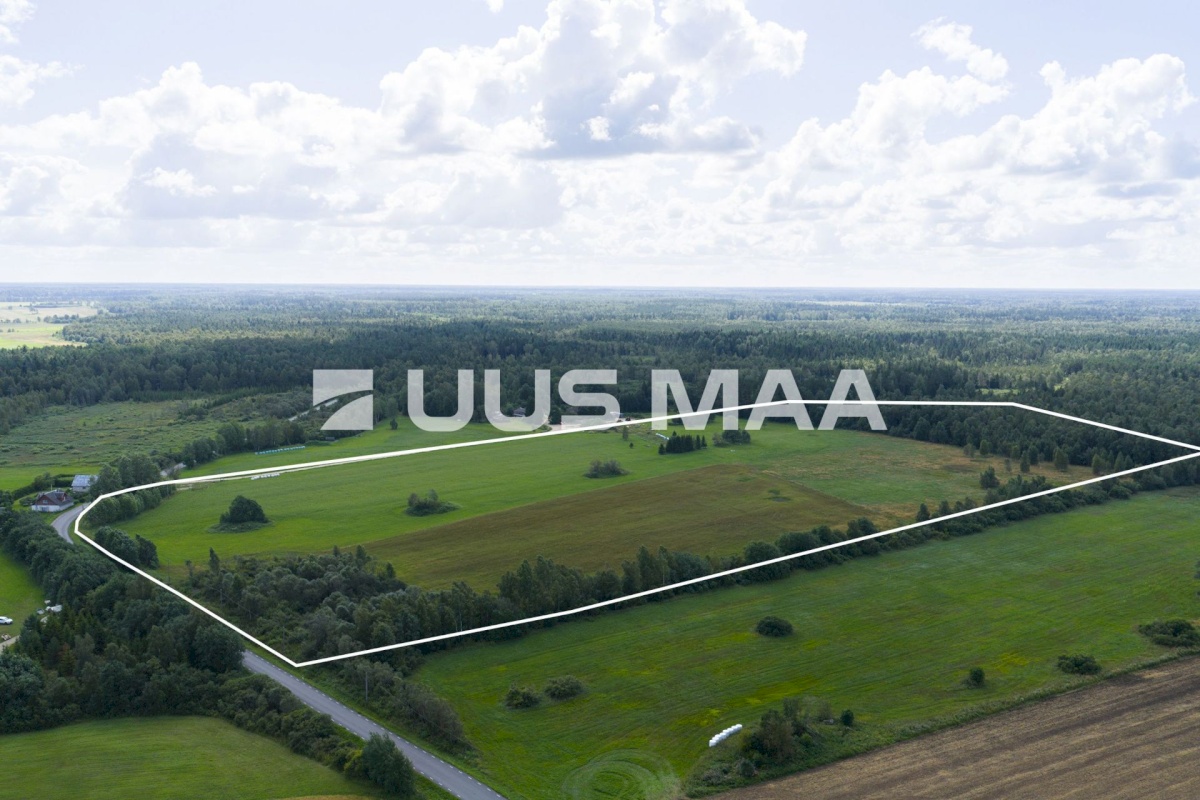 Saue vald, Pärinurme küla, Uus-Ülesoo
