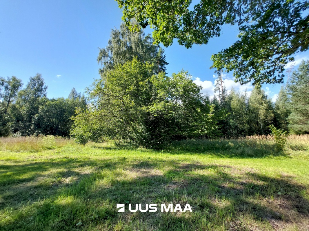 Saarde vald, Kanaküla, Siiri