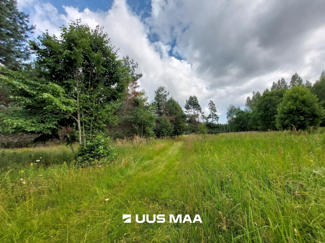 Saarde vald, Kanaküla, Siiri