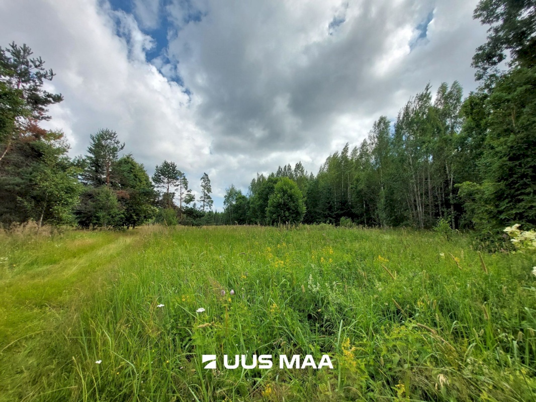 Saarde vald, Kanaküla, Siiri