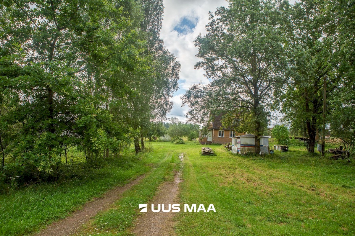 Kastre vald, Päkste küla, Männi 14
