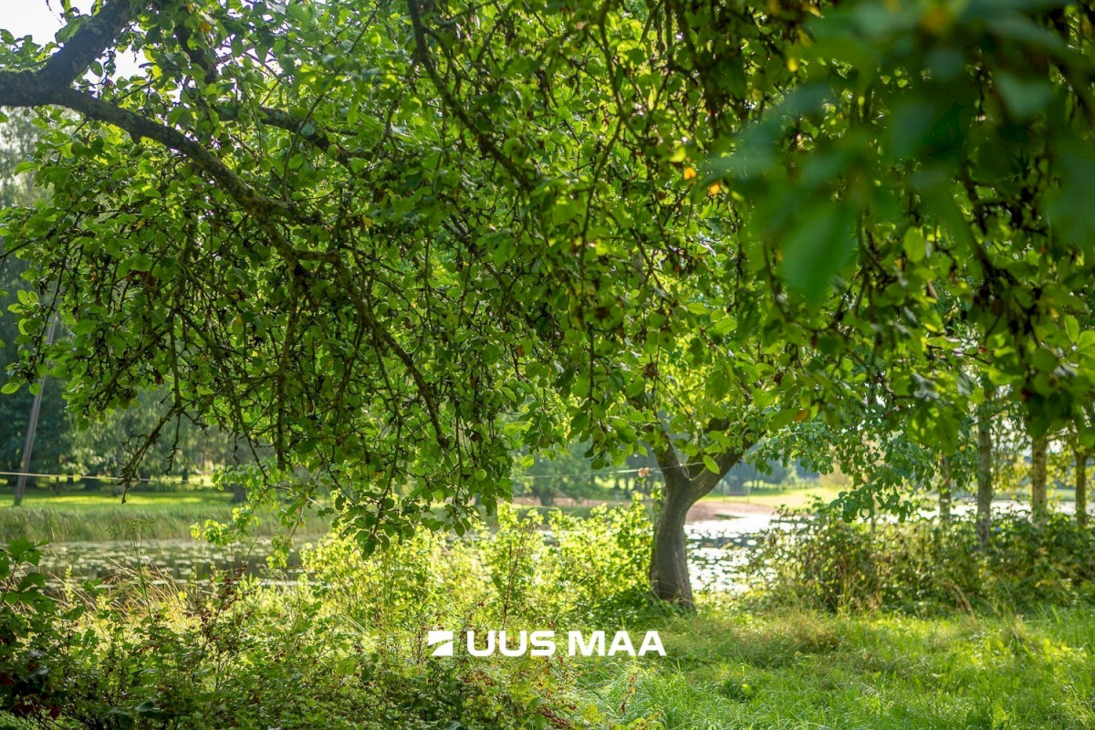 Kastre vald, Päkste küla, Männi 14