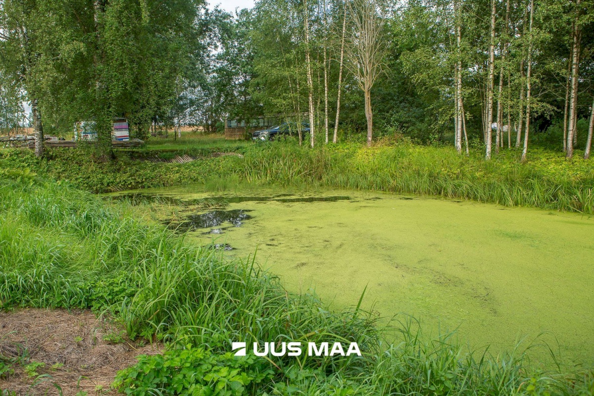 Kastre vald, Päkste küla, Männi 14