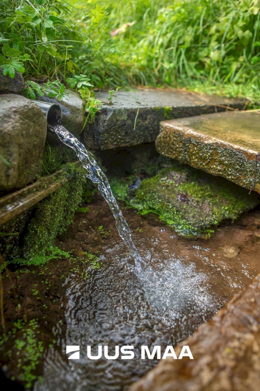 Kastre vald, Päkste küla, Männi 14