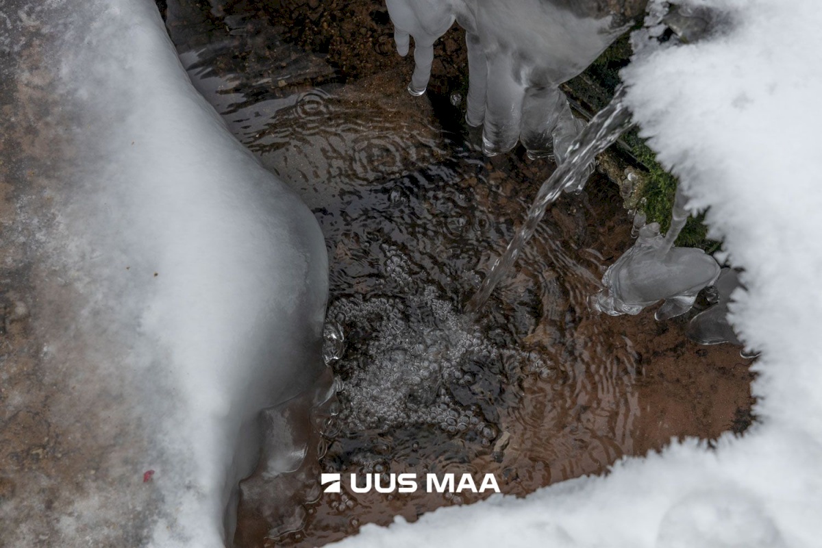 Kastre vald, Päkste küla, Männi 14