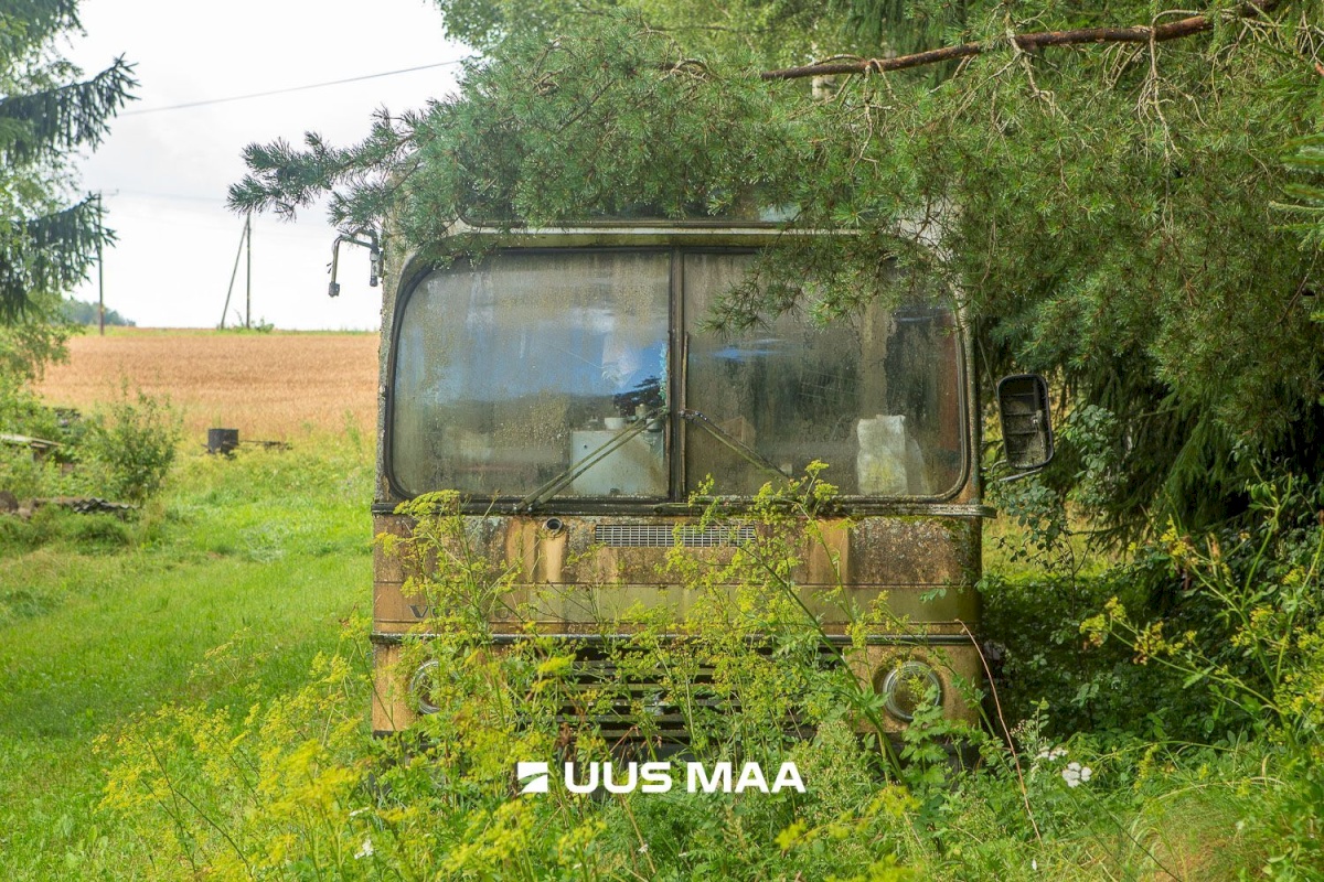 Kastre vald, Päkste küla, Männi 14