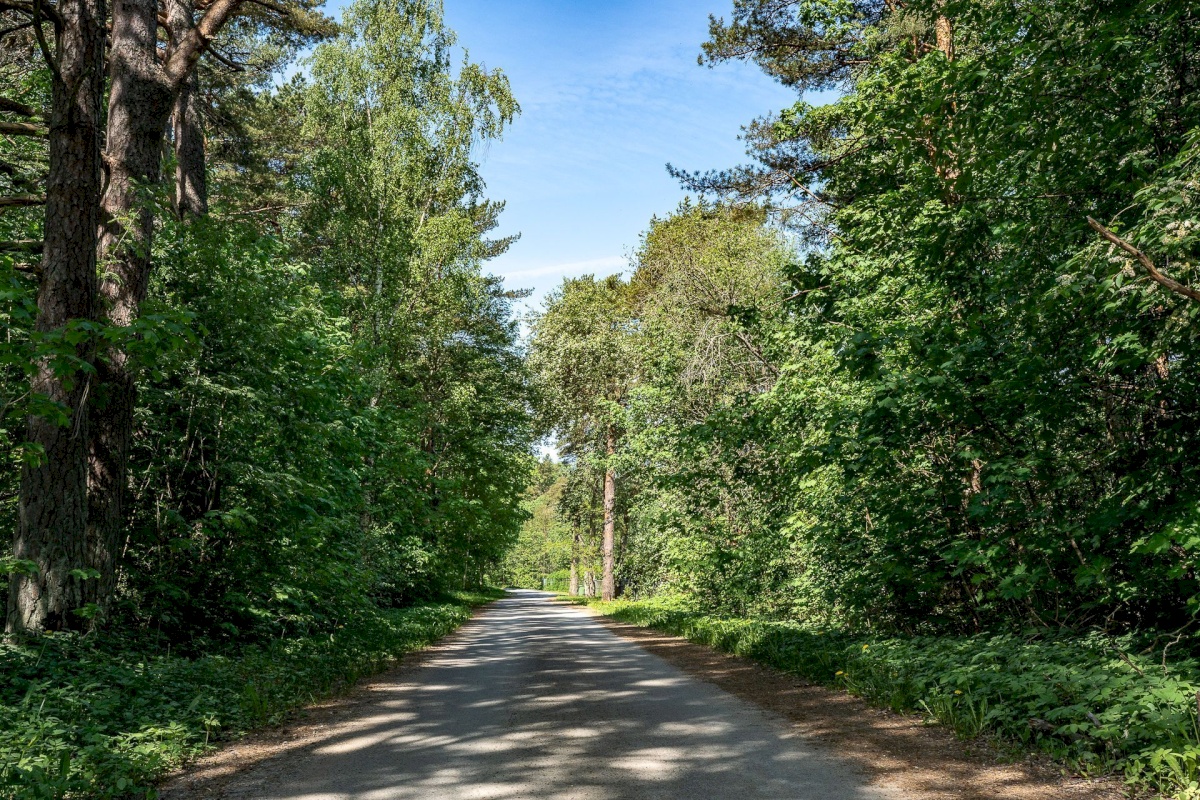 Lääne-Harju vald, Paldiski linn, Mõisahärra tee 4