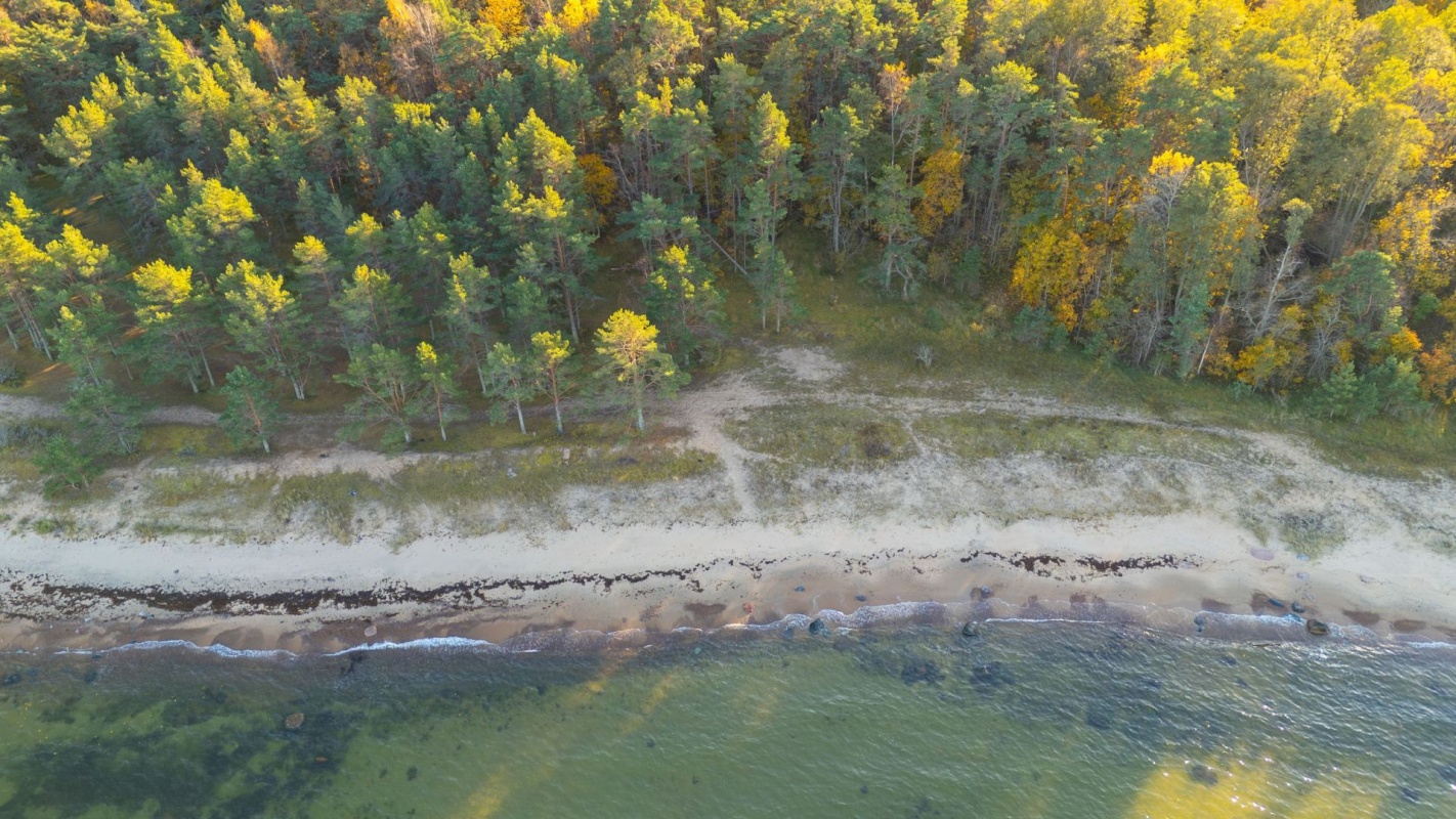 Lääne-Harju vald, Paldiski linn, Mõisahärra tee 4