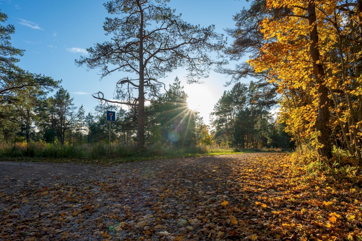 Lääne-Harju vald, Paldiski linn, Mõisahärra tee 4