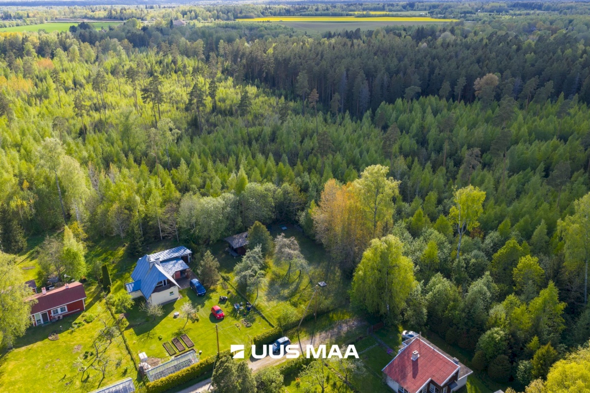 Rapla vald, Pirgu küla, Metsa tee 5