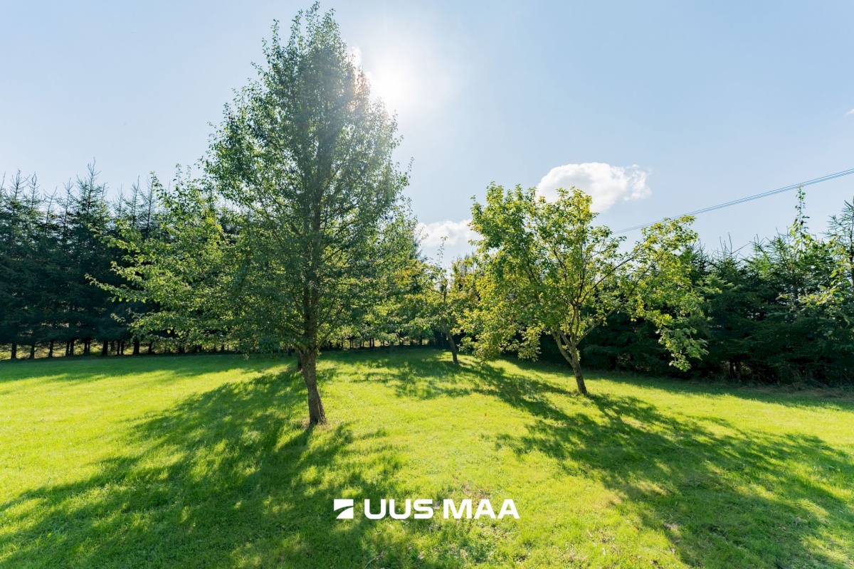 Saarde vald, Surju küla, Vana-Surjupera