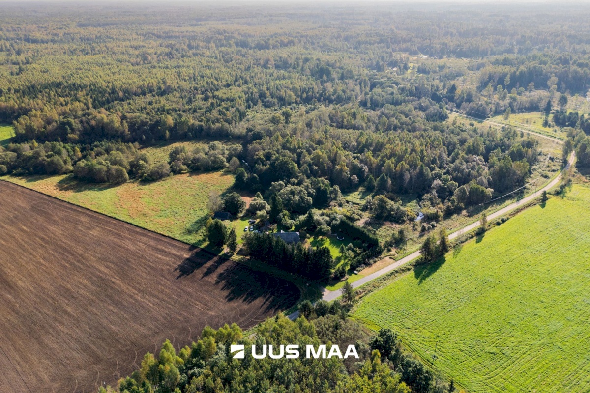 Saarde vald, Surju küla, Vana-Surjupera