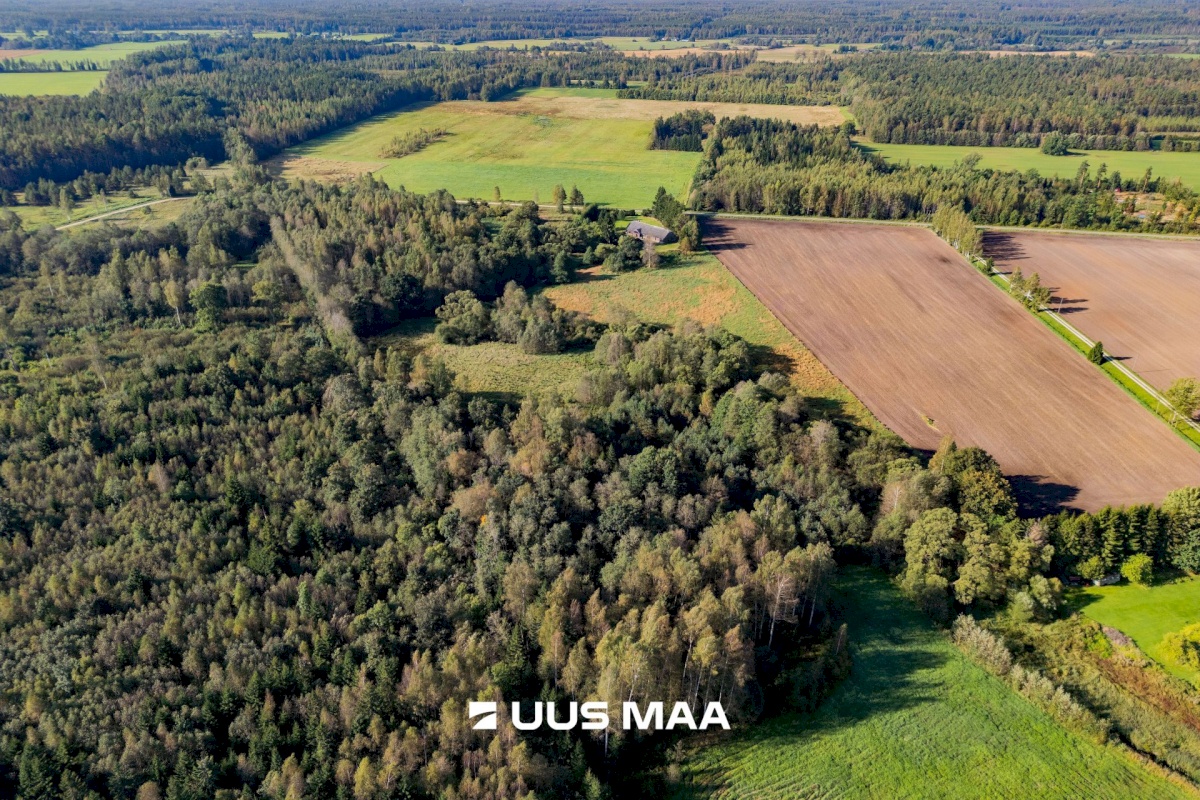 Saarde vald, Surju küla, Vana-Surjupera