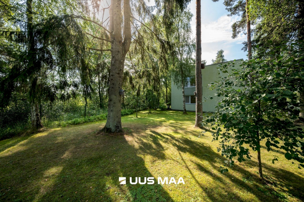 Saue vald, Koidu küla, Koidu tee 44