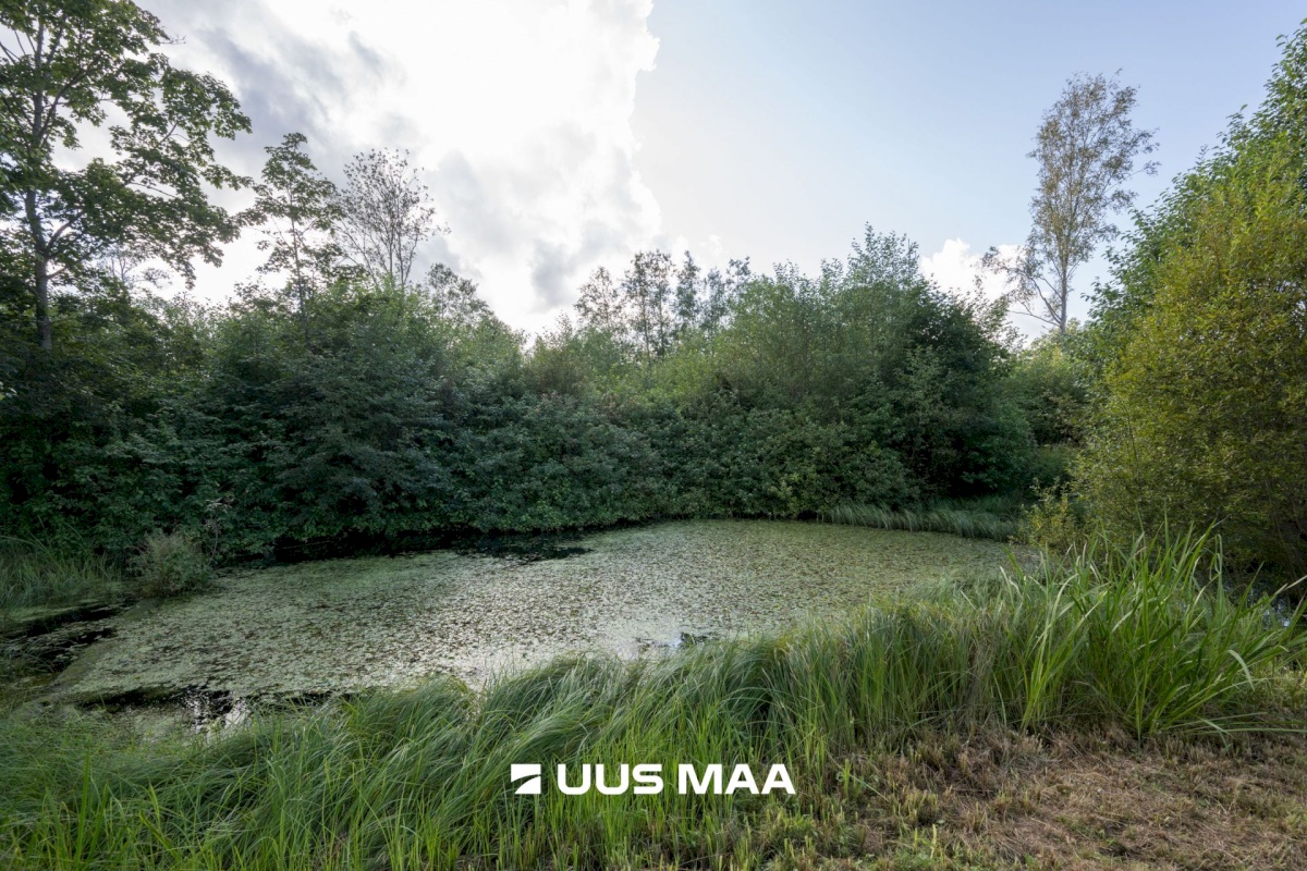 Anija vald, Kaunissaare küla, Uue-Pöide