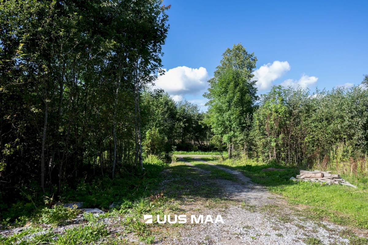 Anija vald, Kaunissaare küla, Uue-Pöide