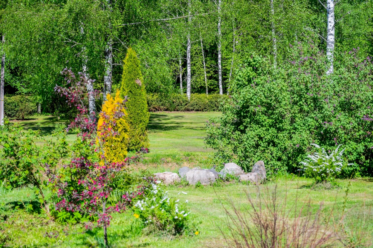 Anija vald, Aegviidu alev, Punamäe talu