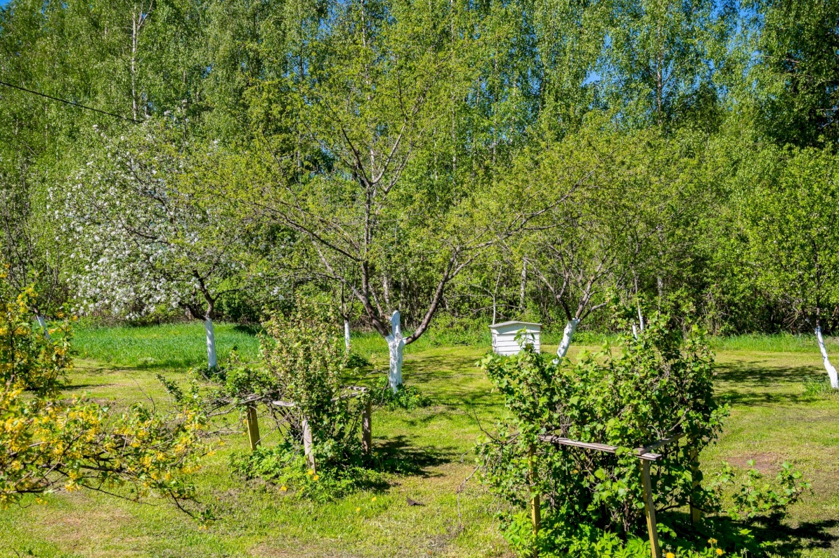 Anija vald, Aegviidu alev, Punamäe talu
