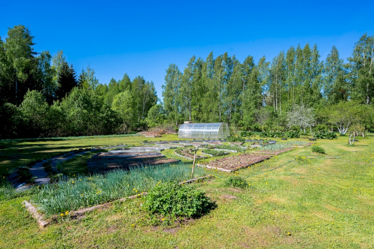 Anija vald, Aegviidu alev, Punamäe talu