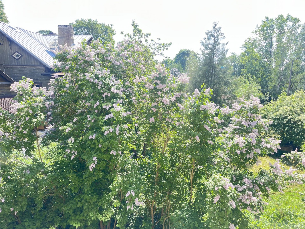Tallinn, Kesklinna linnaosa, Paldiski mnt 23A