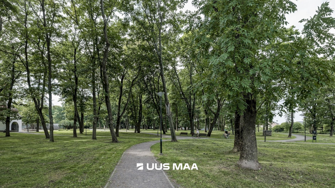 Tallinn, Põhja-Tallinna linnaosa, Kalamaja, Vibu 10