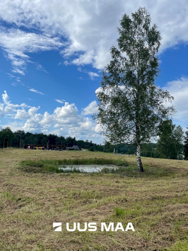 Rõuge vald, Rõuge alevik, Järvekalda