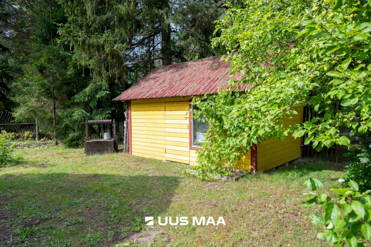 Lääne-Harju vald, Kurkse küla, Männiku