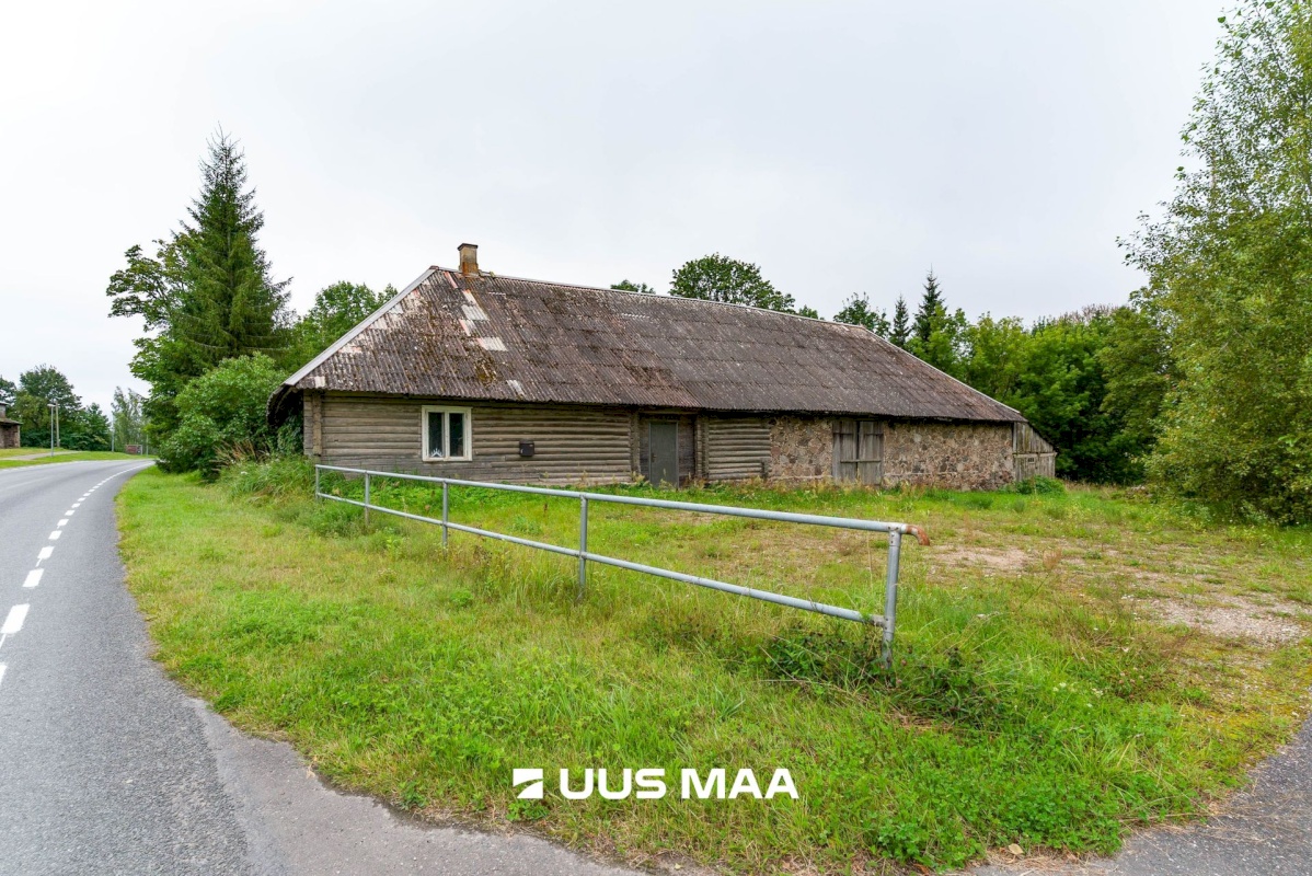 Viljandi vald, Saarepeedi küla, Kooli