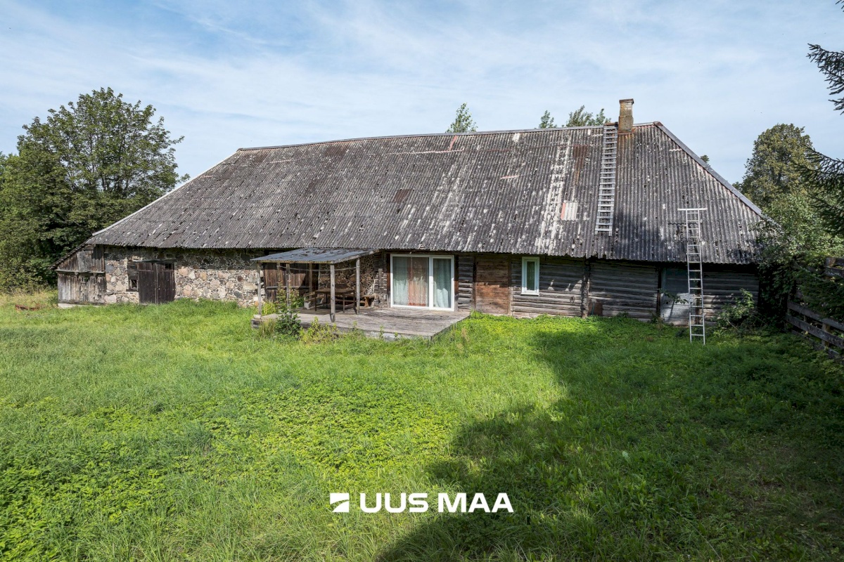 Viljandi vald, Saarepeedi küla, Kooli