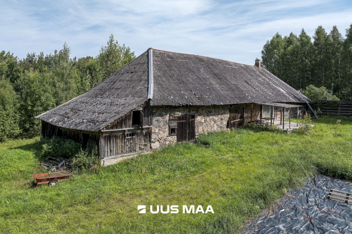 Viljandi vald, Saarepeedi küla, Kooli