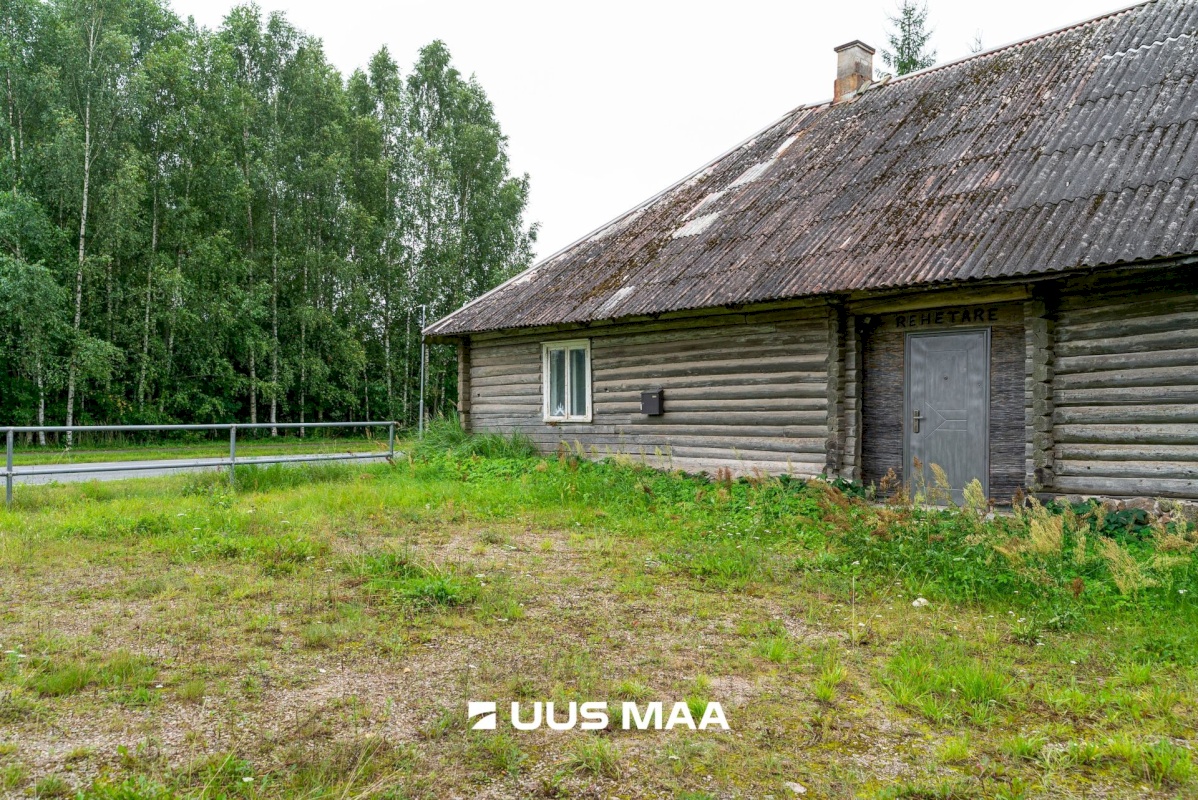 Viljandi vald, Saarepeedi küla, Kooli