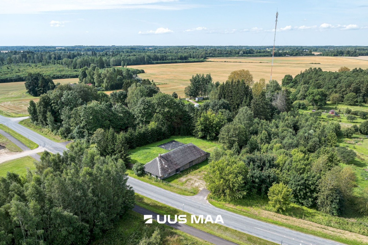 Viljandi vald, Saarepeedi küla, Kooli