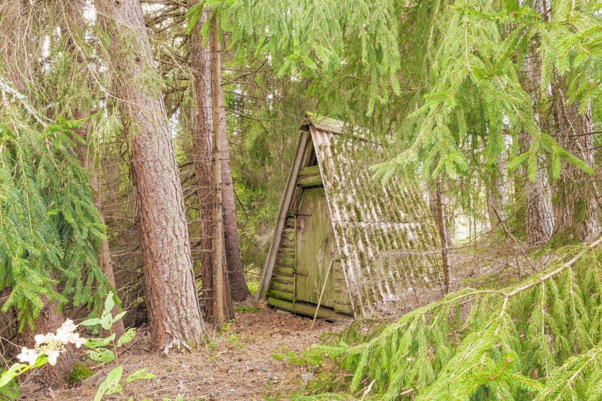 Lääne-Harju vald, Kobru küla