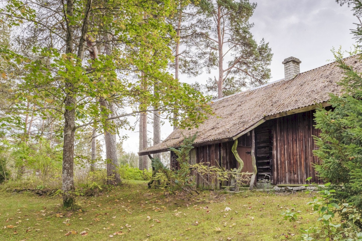 Lääne-Harju vald, Kobru küla