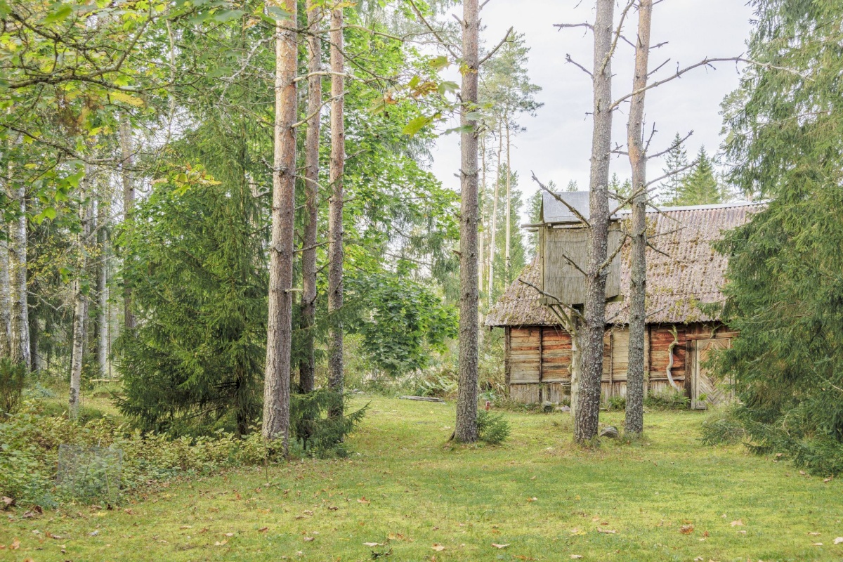 Lääne-Harju vald, Kobru küla
