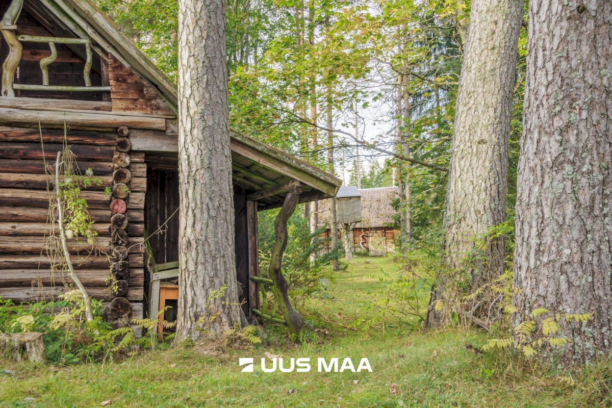 Lääne-Harju vald, Kobru küla