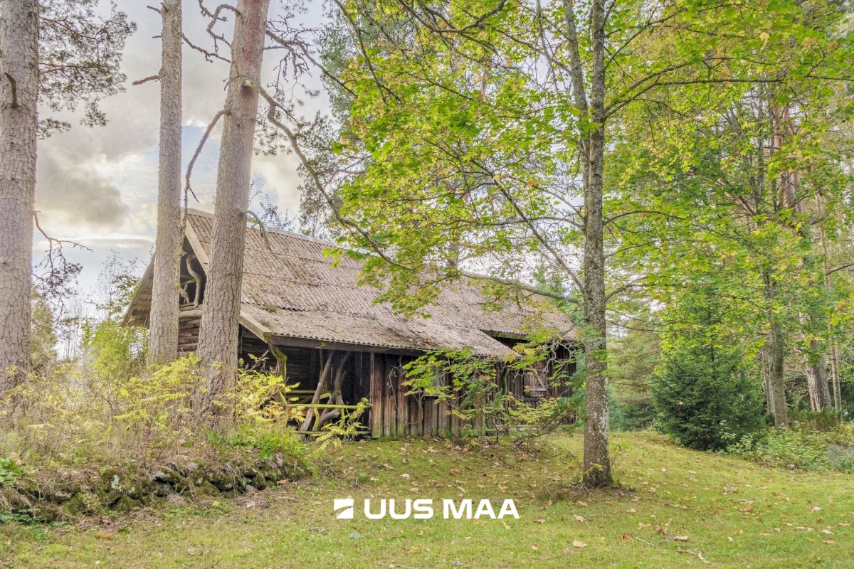 Lääne-Harju vald, Kobru küla