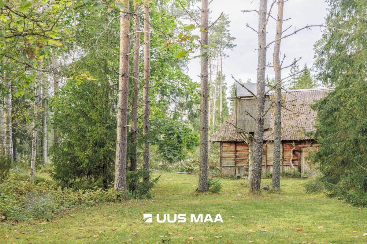 Lääne-Harju vald, Kobru küla