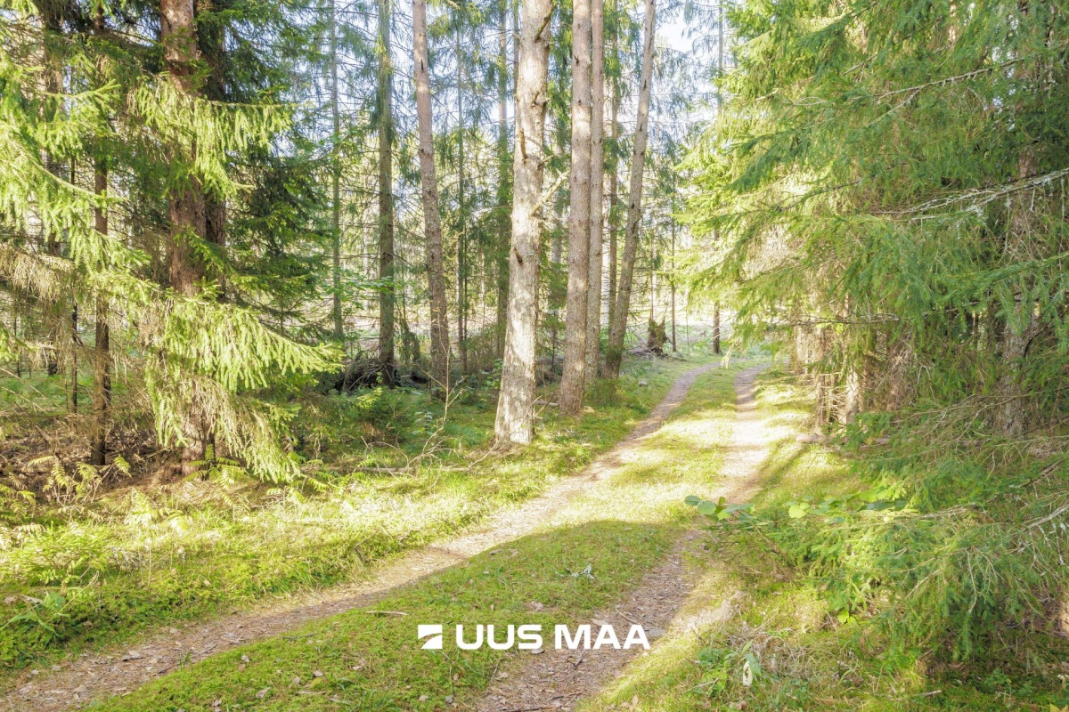 Lääne-Harju vald, Kobru küla