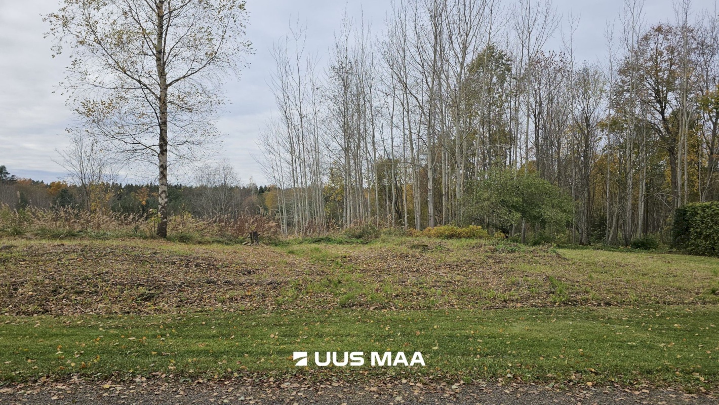 Toila vald, Voka alevik, Ranniku 12